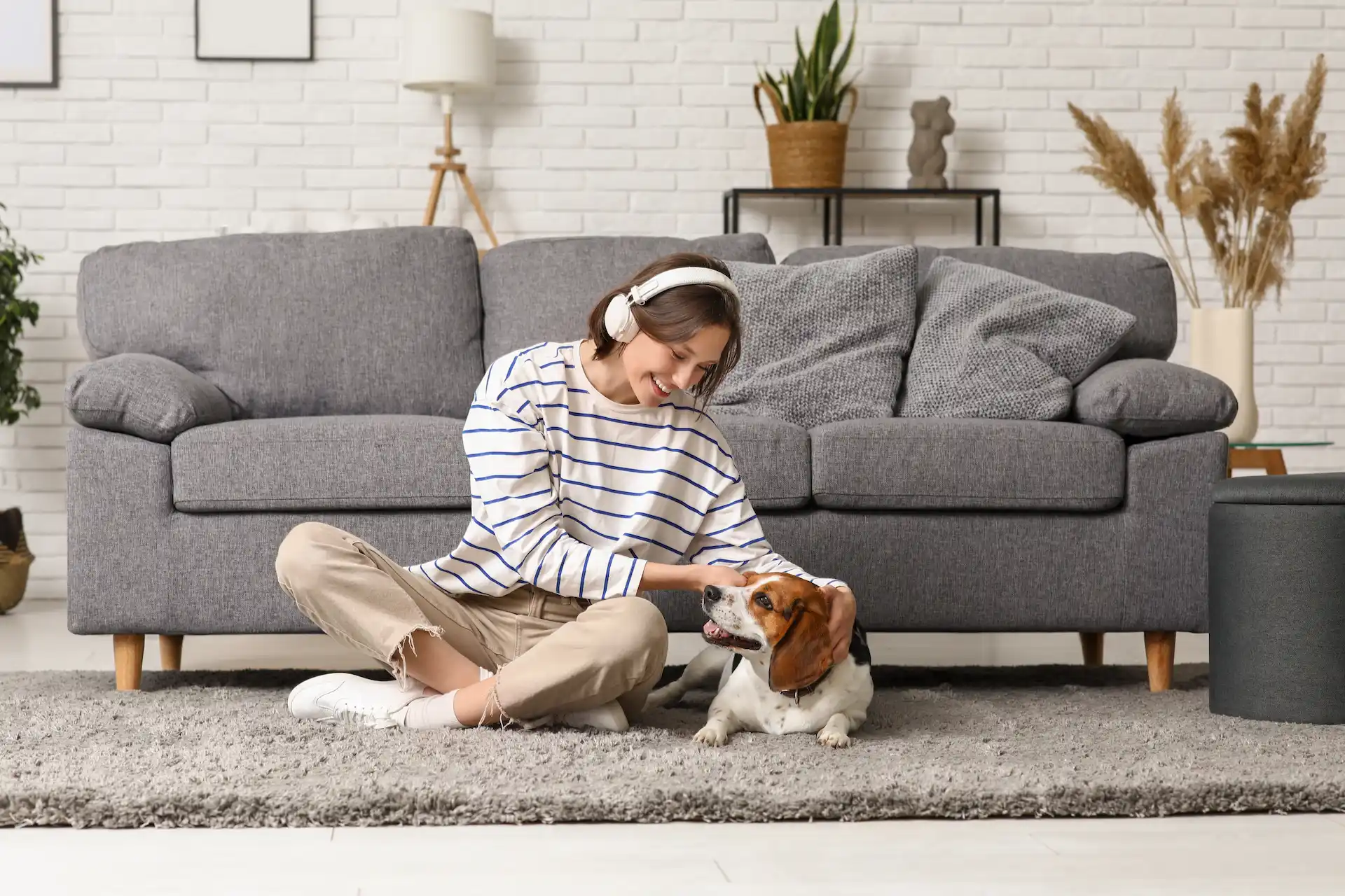 Cómo elegir una alarma para casa con mascotas