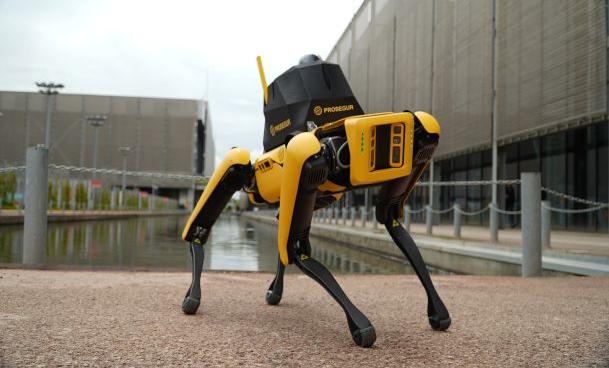 Llega a Colombia Yellow, el perro robot de Prosegur que acompañará algunos eventos en el estadio Nemesio Camacho en Bogotá