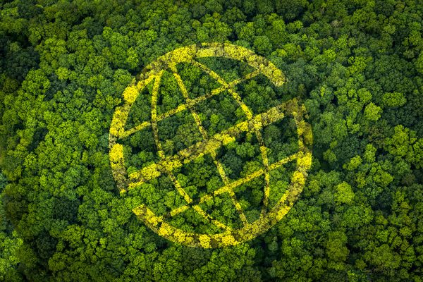 Prosegur consolida sus compromisos éticos y de responsabilidad social y medioambiental Prosegur consolida sus compromisos éticos y de responsabilidad social y medioambiental